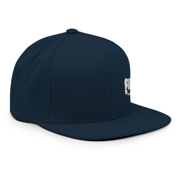 RR Snapback Hat - Image 3